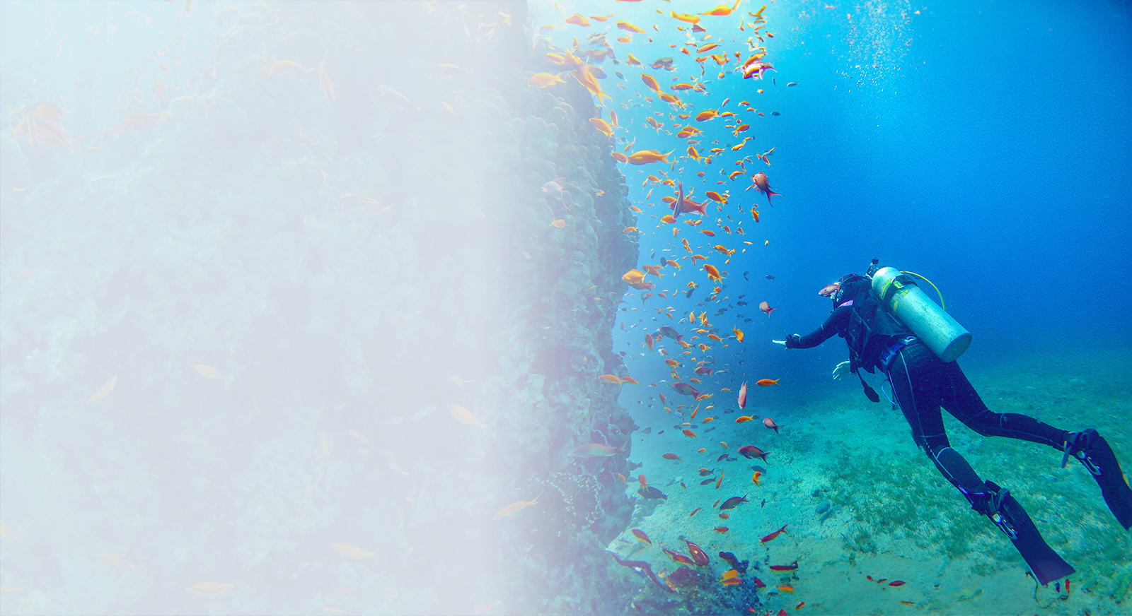 HighYield Savings Solutions Spectrum Credit Union